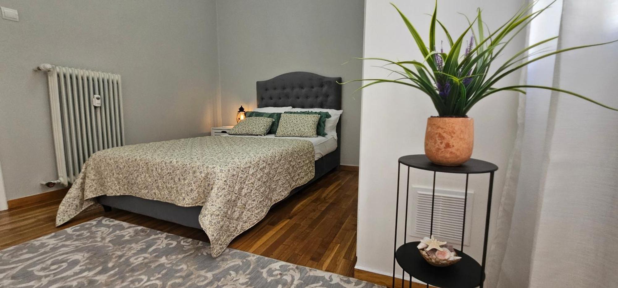 Cozy And Quiet , Convenient Location In 公寓 雅典