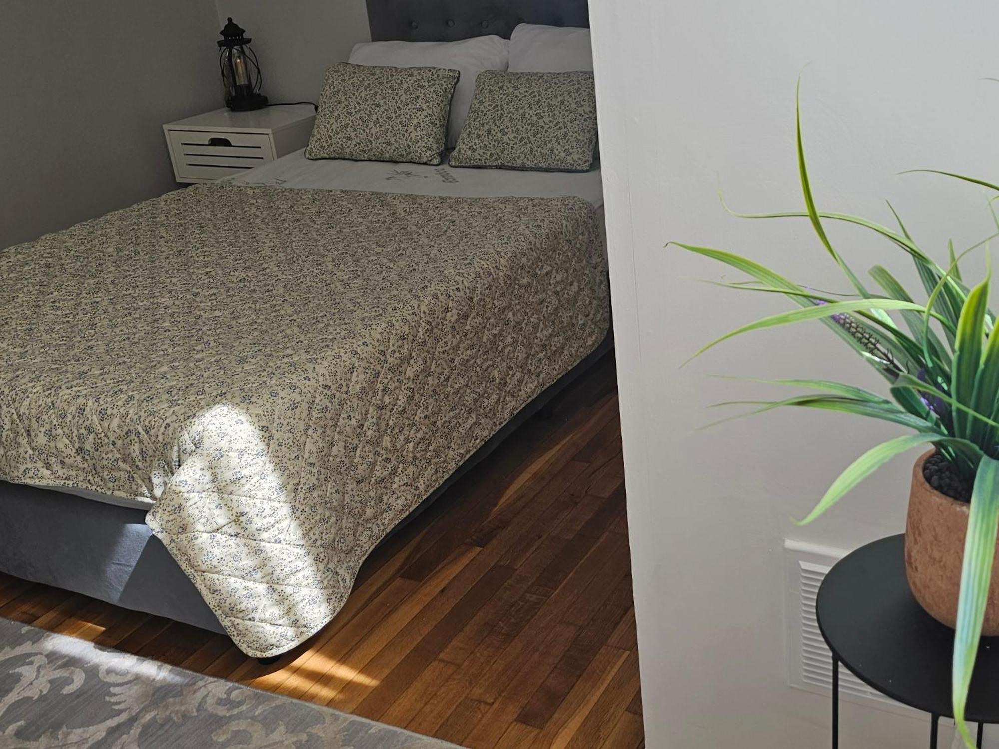 Cozy And Quiet , Convenient Location In