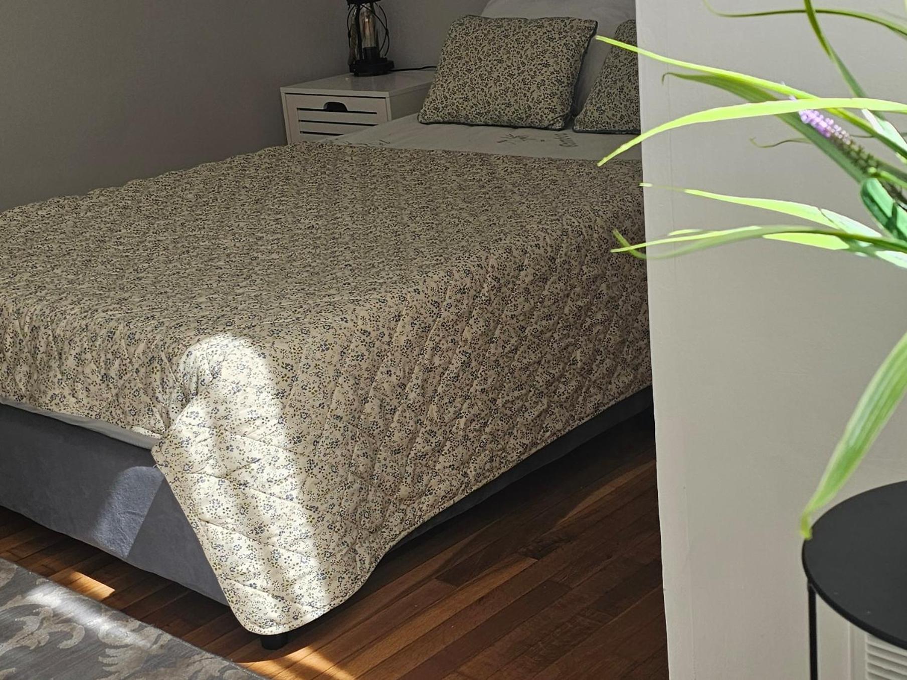 Apartment Cozy And Quiet , Convenient Location In