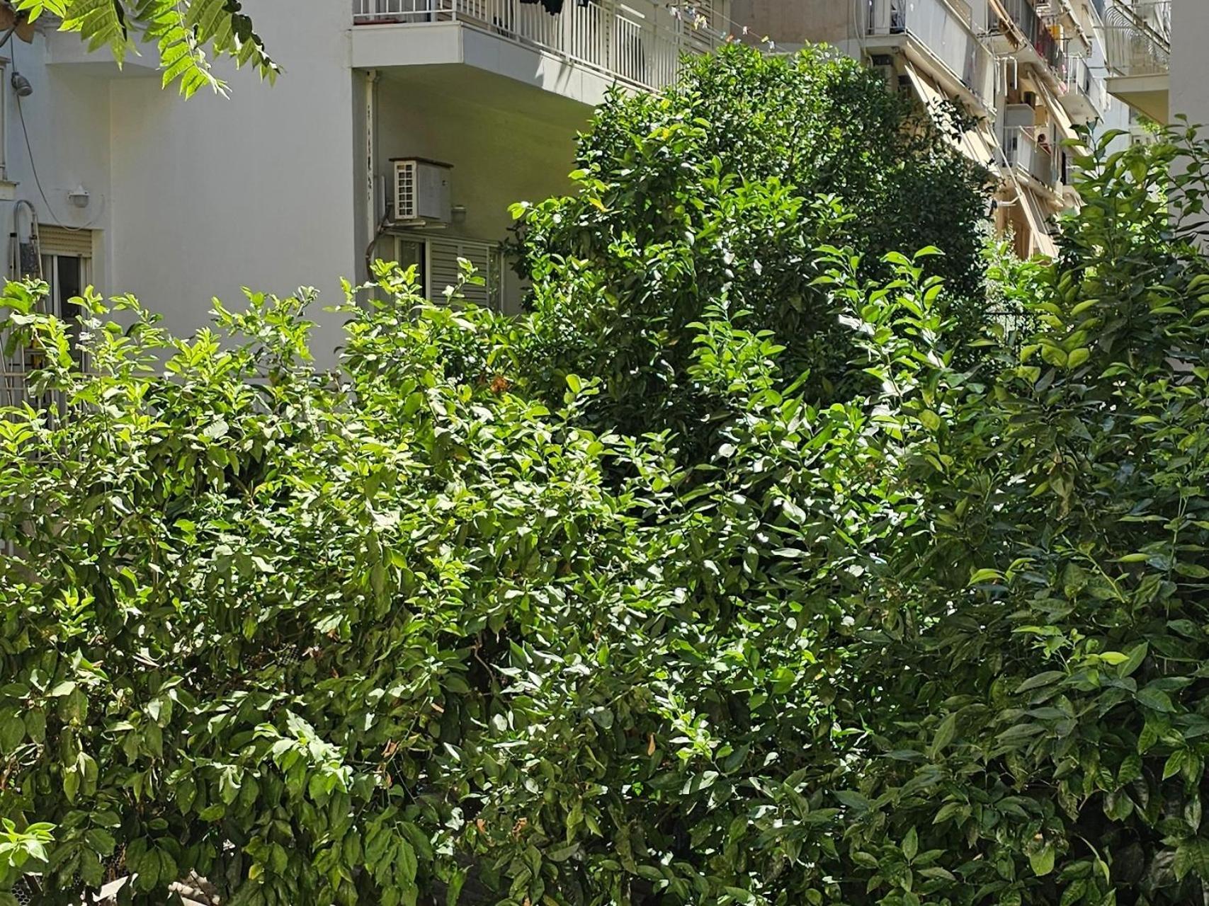 Apartment Cozy And Quiet , Convenient Location In *